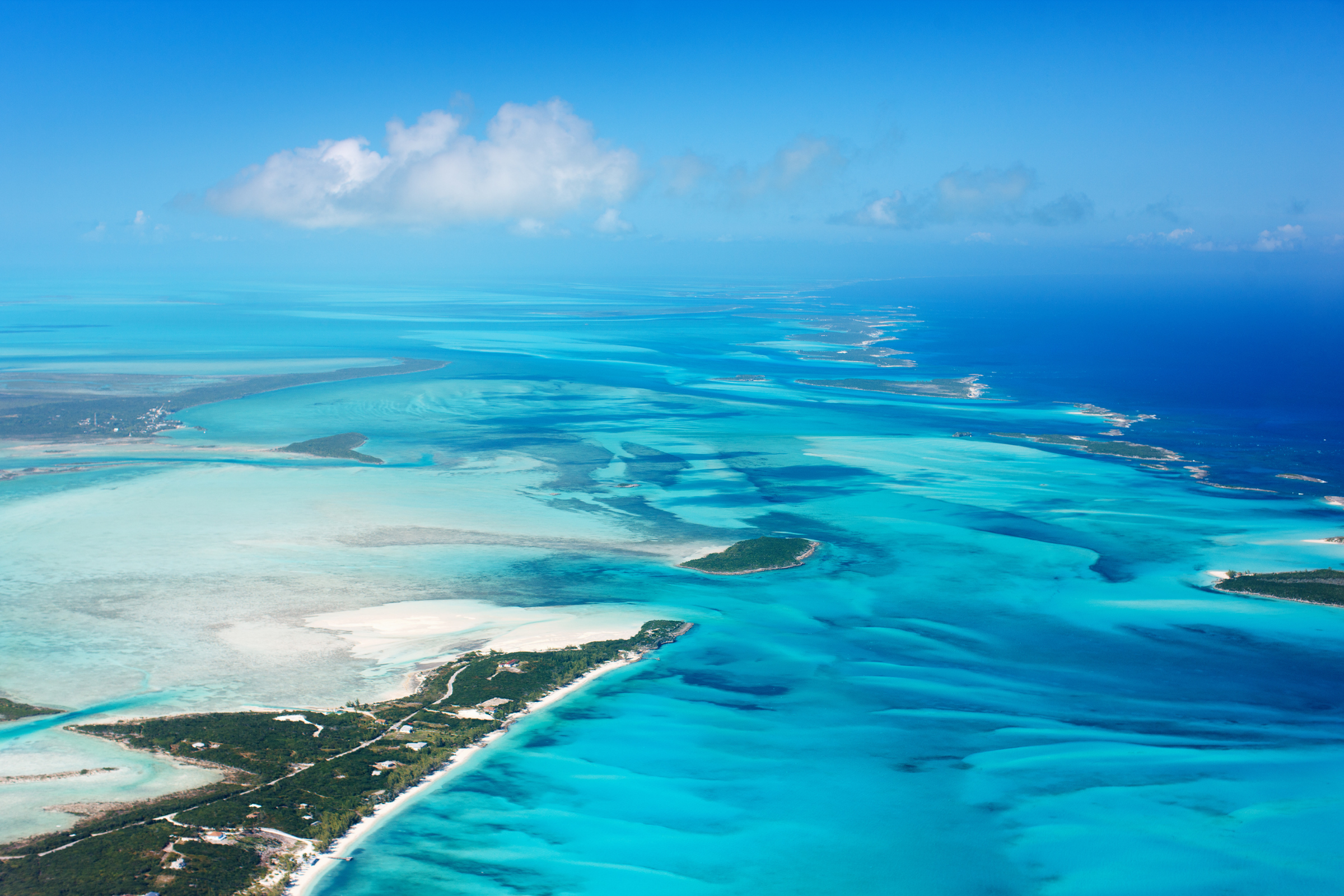 rose island (2).webp